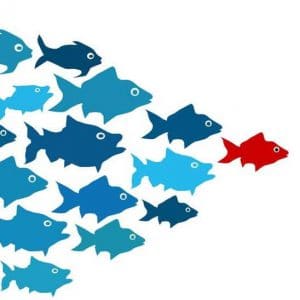 executive leadership - red fish leads a school of blue fish