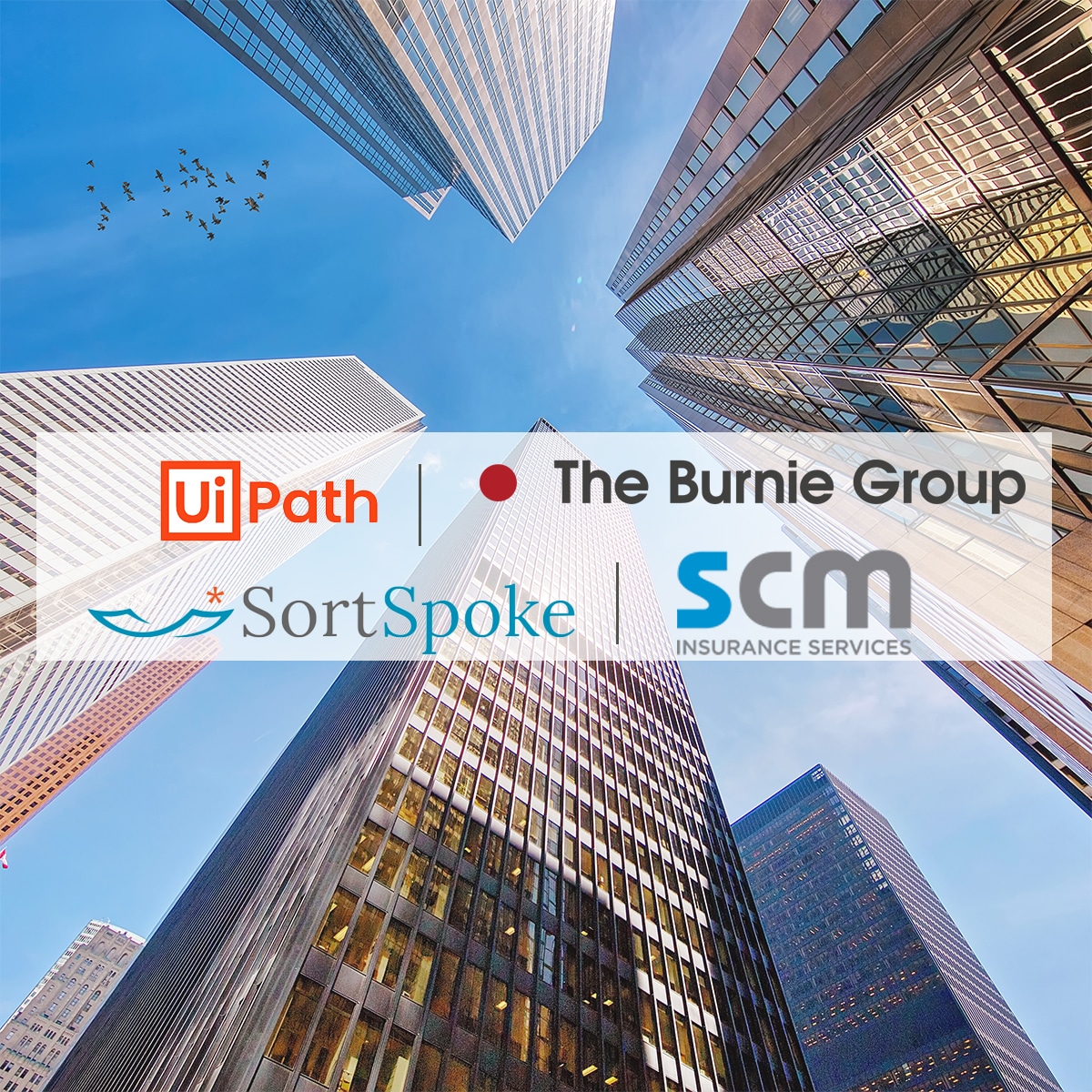 Insights from Transforming Insurance Operations with an Automation Center of Excellence at SCM Insurance Services -Burnie Group SCM UiPath SortSpoke webinar feature image