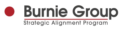 Burnie Group Strategic Alignment Program logo