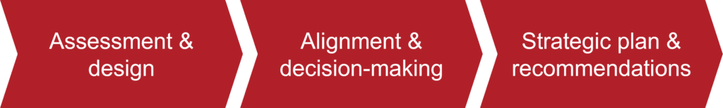 Strategic Alignment Program stages