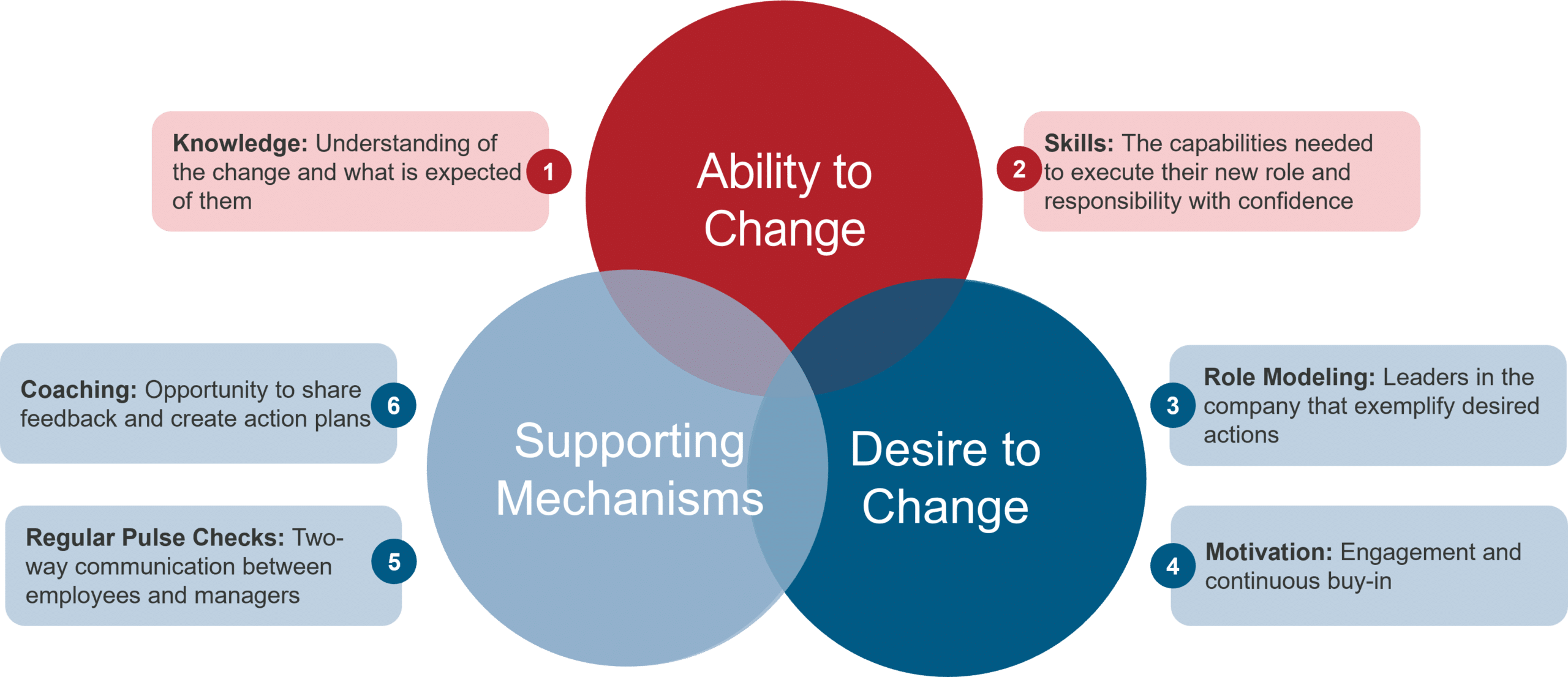 Change Management Consulting – Burnie Group
